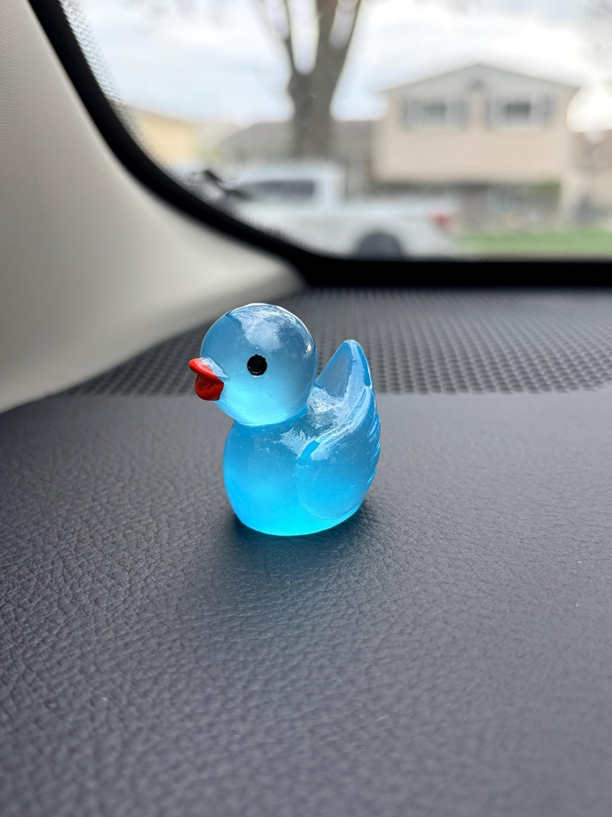 Glow in the Dark Duck Dashboard Ornaments