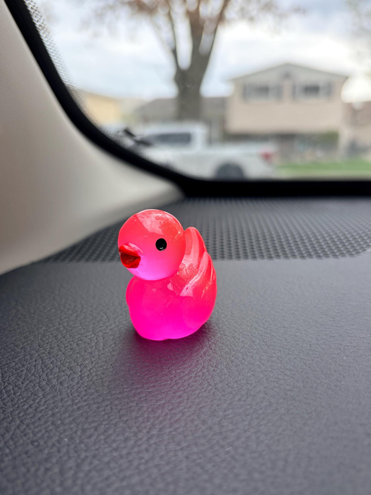 Glow in the Dark Duck Dashboard Ornaments