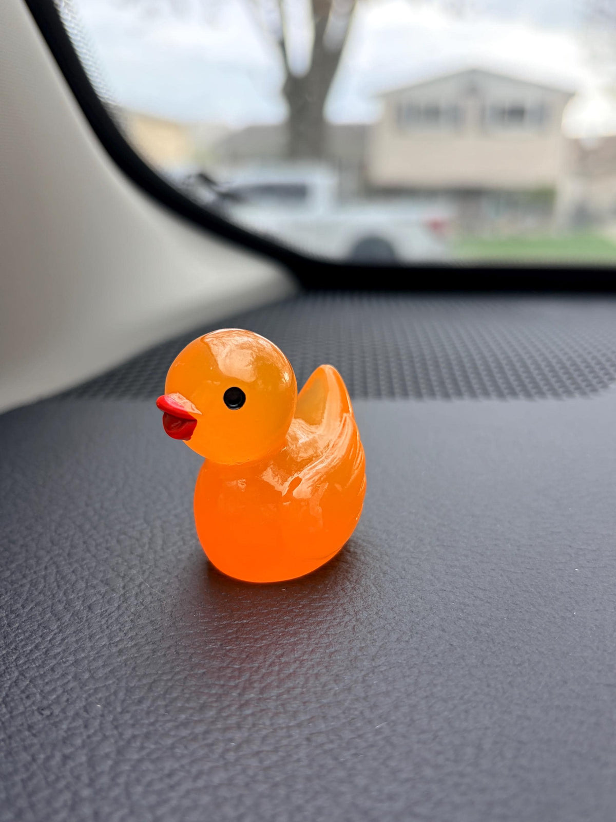 Glow in the Dark Duck Dashboard Ornaments