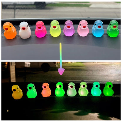 Glow in the Dark Duck Dashboard Ornaments